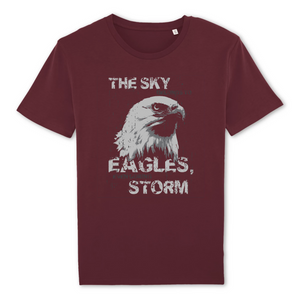 SKY EAGLE T-SHIRT BIO HOMME